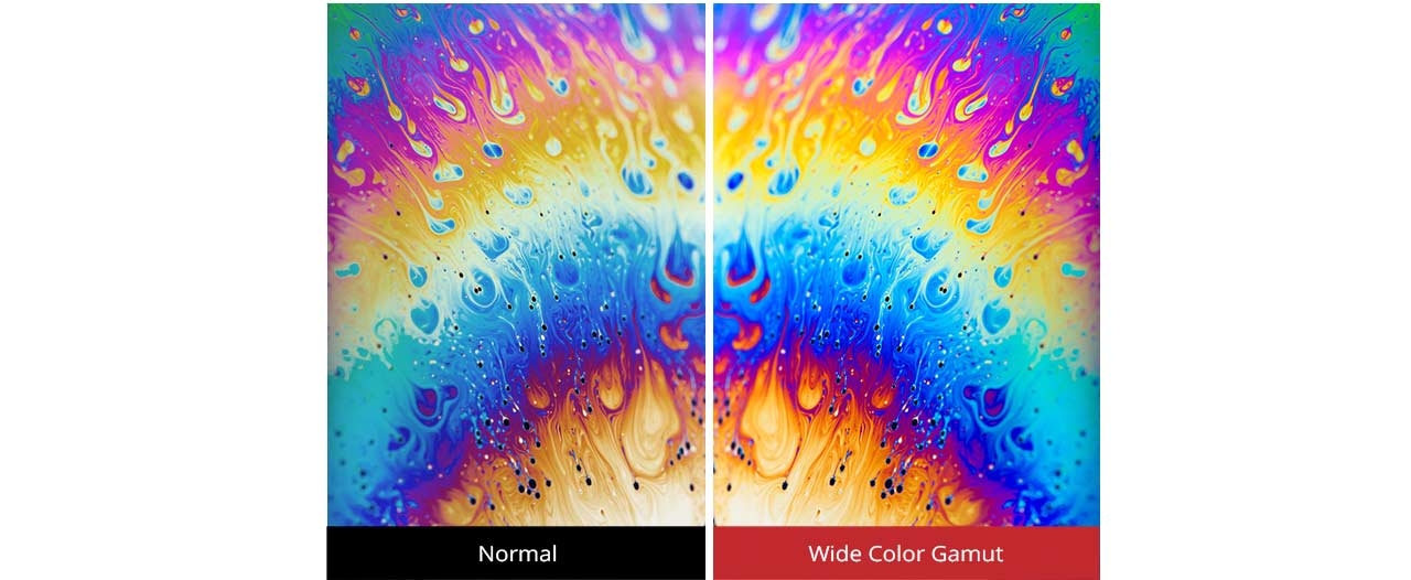 ViewSonic VX2458-C-MHD 60cm (24 Zoll) LED-Monitor