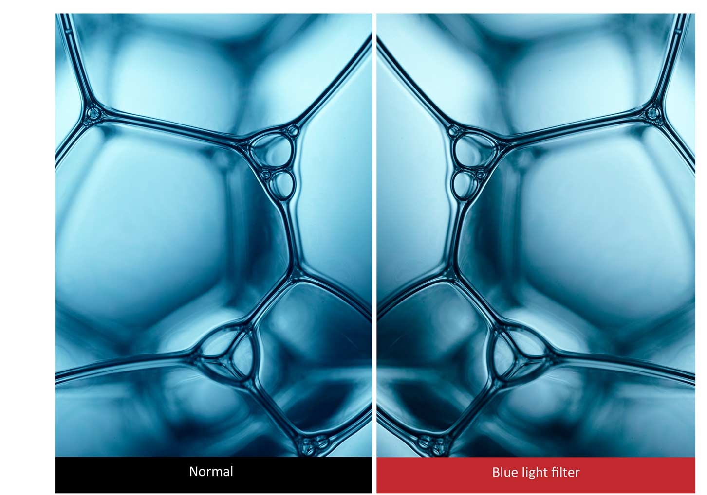 ViewSonic VX2458-C-MHD 60cm (24 Zoll) LED-Monitor