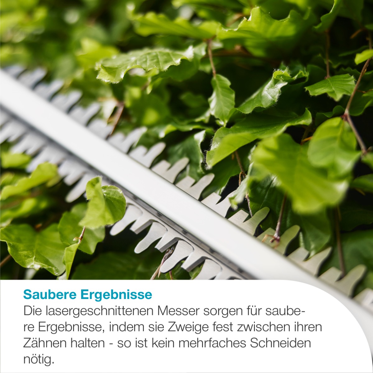 GARDENA 14734-20 Akku-Heckenschere EasyCut 45/18V P4A Ready-To-Use Set