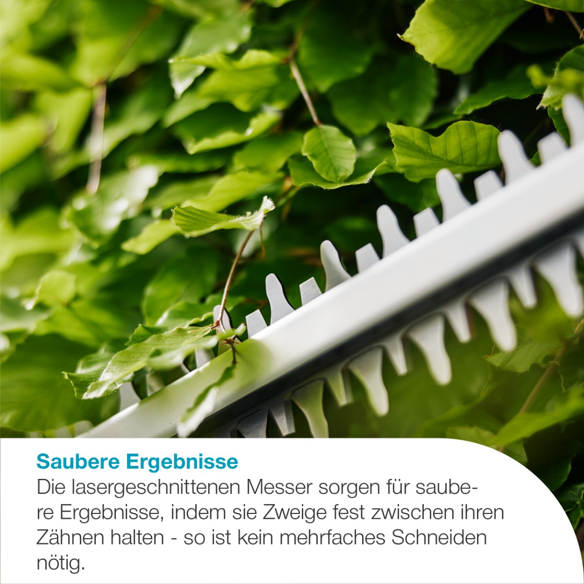 GARDENA 14735-20 Akku-Heckenschere EasyCut 55/18V P4A Ready-To-Use Set