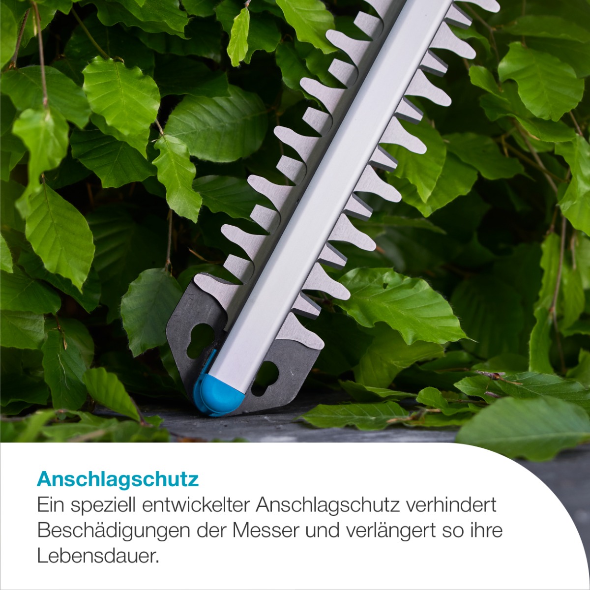GARDENA 14735-20 Akku-Heckenschere EasyCut 55/18V P4A Ready-To-Use Set