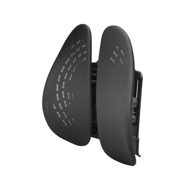 Kensington K60412WW Smartfit anpassbare Rückenstütze