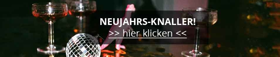 Kärcher Verlängerungsset für alle WV und KV