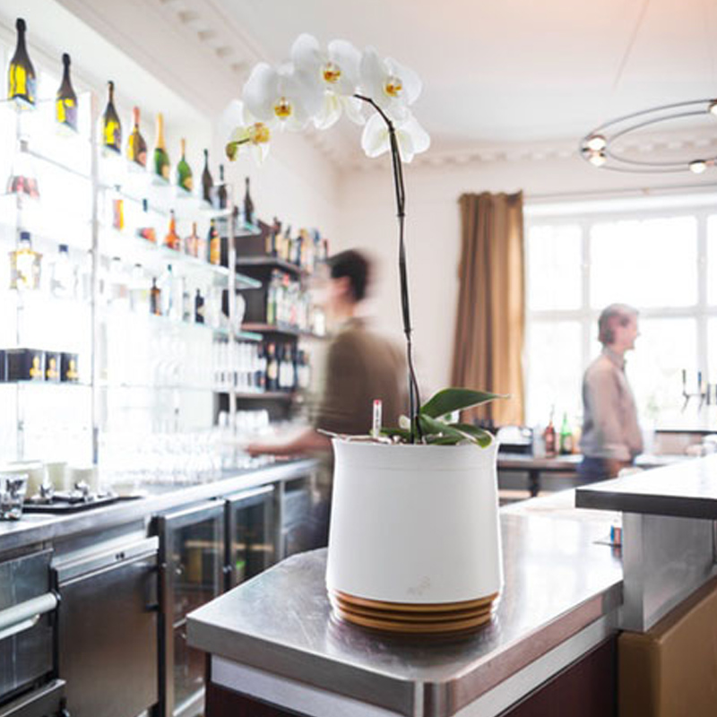 AIRY Pot Blumentopf Luftreinigungssystem in schneeweiß (Honey Mustard - gelb-braun)