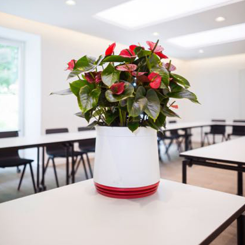 AIRY Pot Blumentopf Luftreinigungssystem in schneeweiß (Hot Chili - rot)