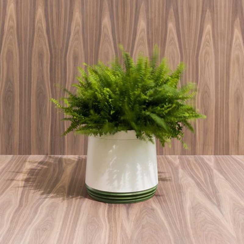 AIRY Pot Blumentopf Luftreinigungssystem in schneeweiß (Late Spring - grün)