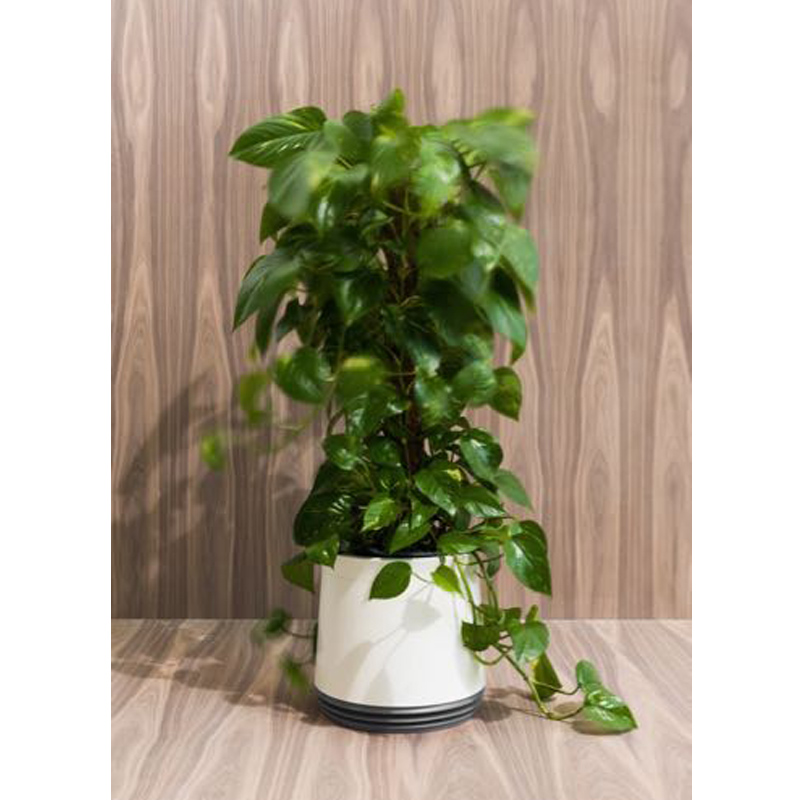 AIRY Pot Blumentopf Luftreinigungssystem in steingrau (Cappuccino - braun)