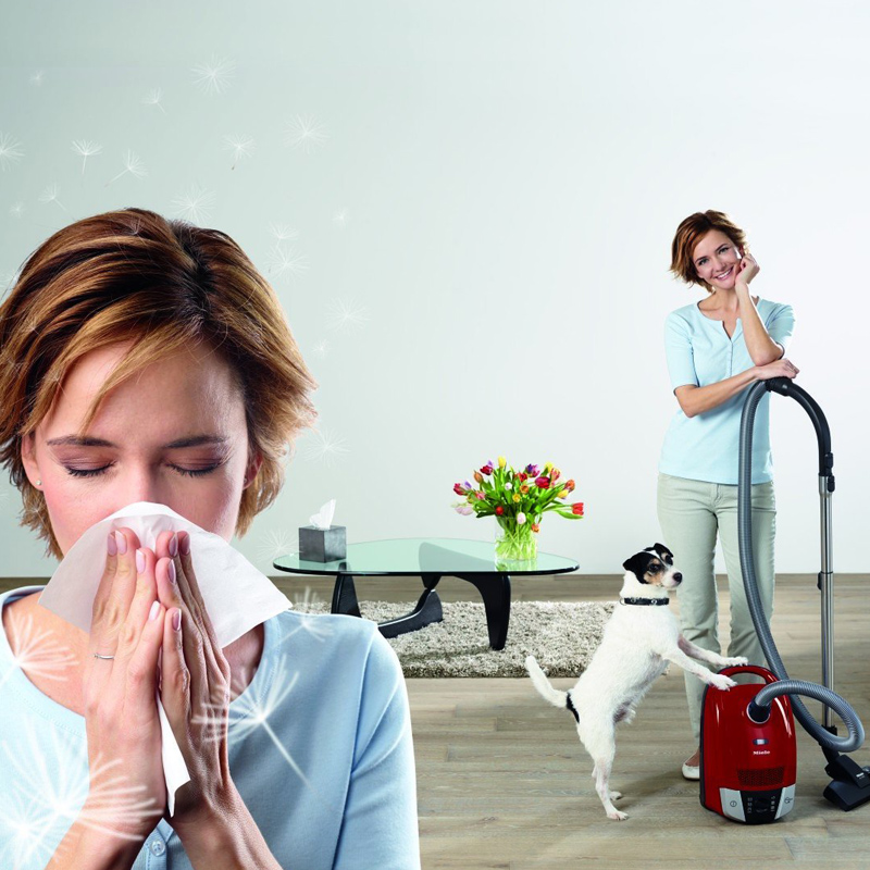 Miele HEPA AirClean SF-HA 50 Staubfilter