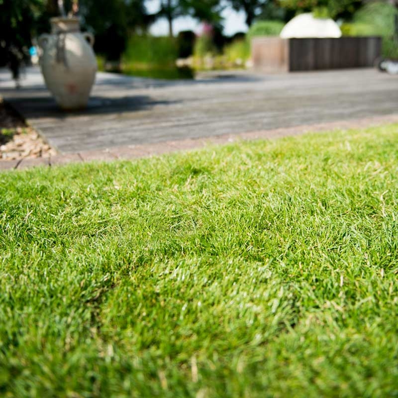HopfenHöhle LIFT Premium mit halbautomatischem Hebesystem + Zubehör