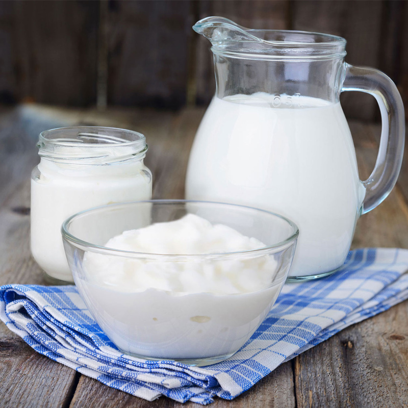 My.Yo Joghurtferment LACTO PRO ® + Inulin Joghurtkulturen 3 Beutel à 25g