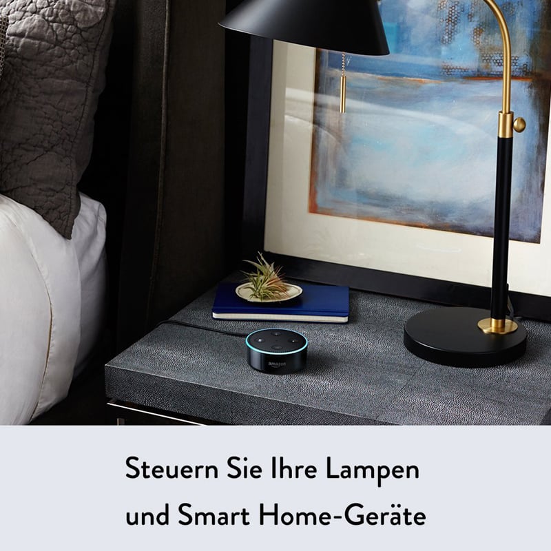 Amazon Echo Dot (2. Generation) schwarz