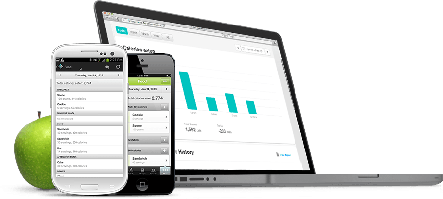 FitBit Zip Fitness-Tracker magenta