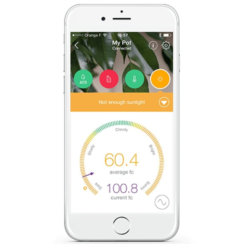 Parrot Pot smarter Bewässerungstopf schwarz