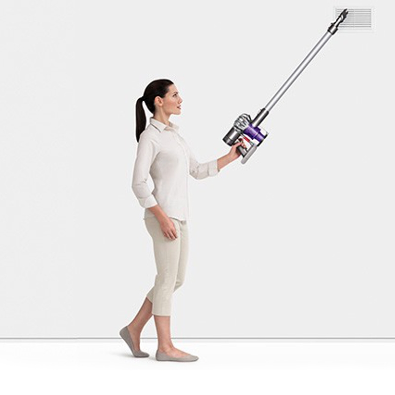 Dyson DC 62 Pro Akku Handstaubsauger