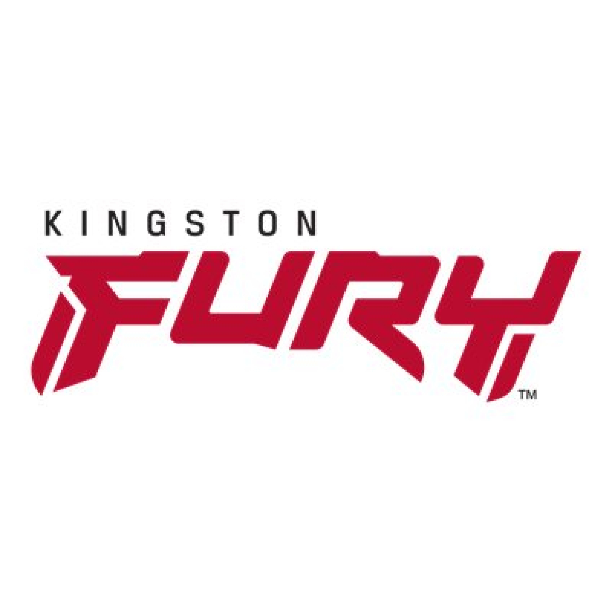Kingston FURY Beast 16GB Kit DDR5-6000 CL30 Arbeitsspeicher