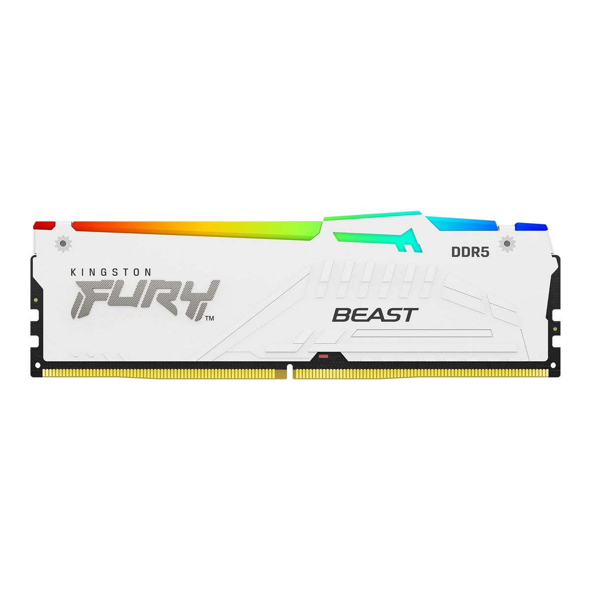 Kingston FURY Beast RGB XMP 32GB DDR5-5600 CL40 Arbeitsspeicher weiß