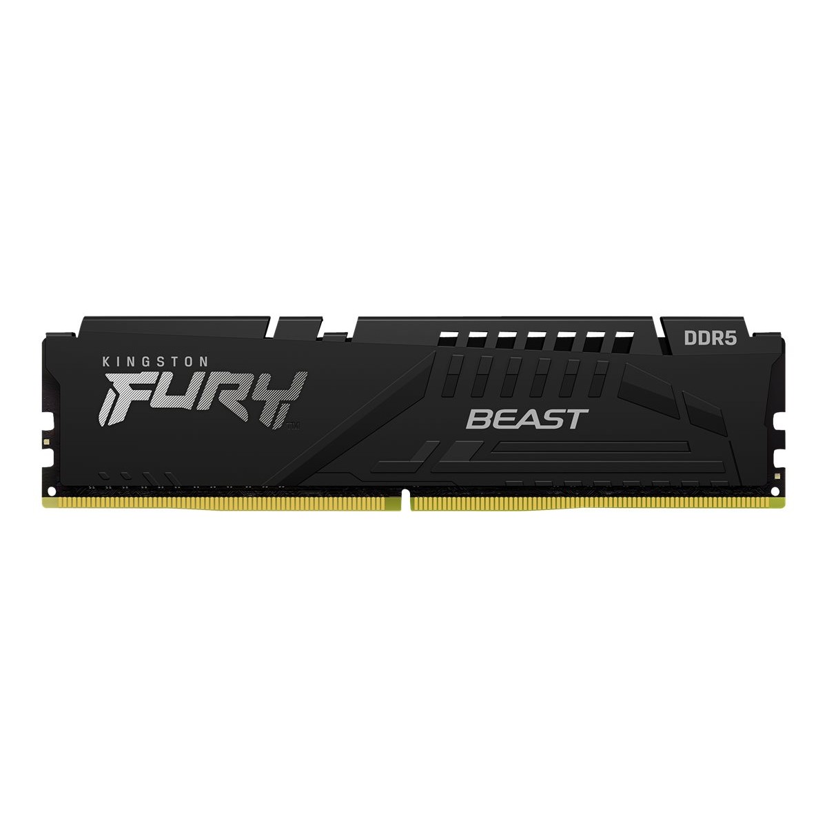 Kingston FURY Beast 8GB DDR5-5600 CL40 Arbeitsspeicher