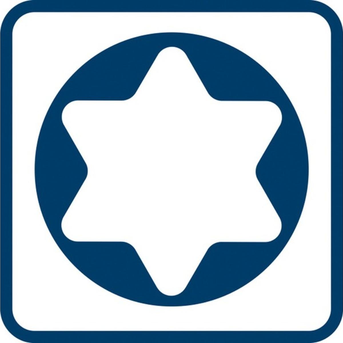 Bosch Professional TX20 x 100mm Torx-Schraubendreher