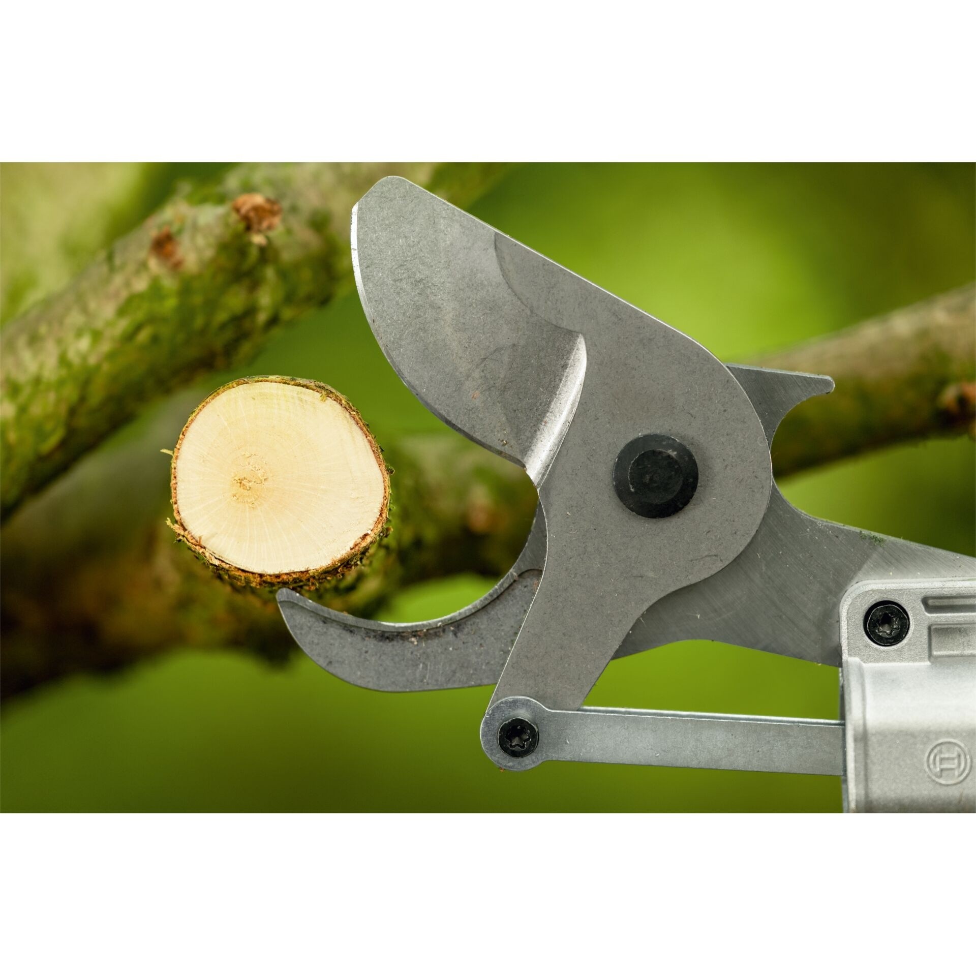 Bosch GGP18V-45EP Akku-Astschere