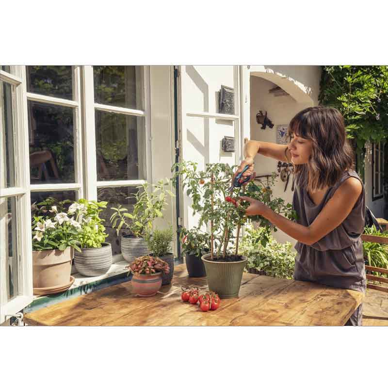 GARDENA 12212-36 FreshCut Set mit Kräuterschildern