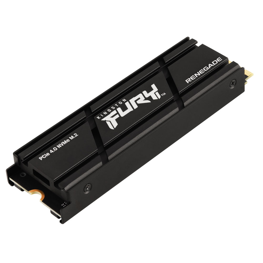 Kingston FURY Renegade PCIe 4.0 SSD 4TB schwarz