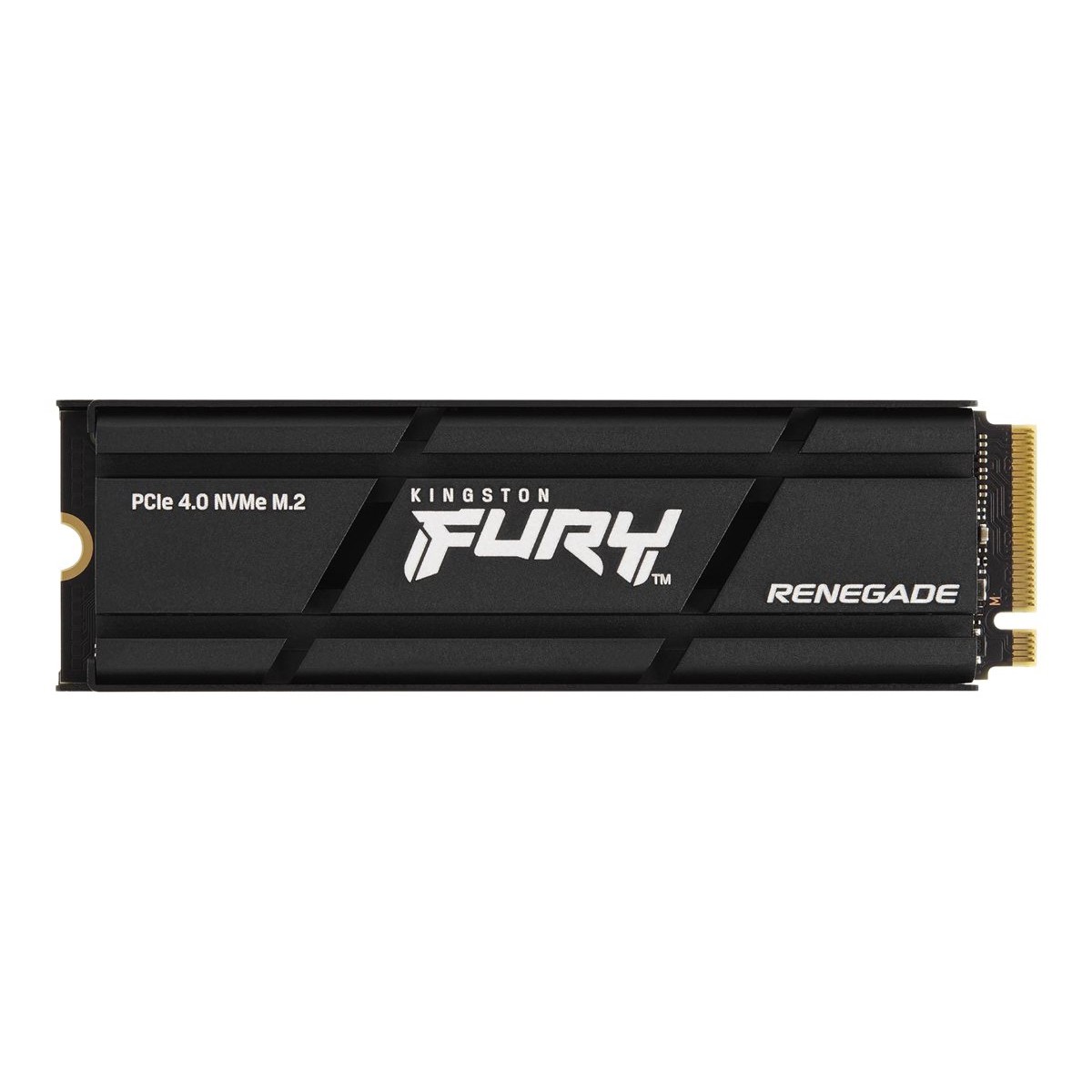 Kingston FURY Renegade NVMe SSD 1TB schwarz