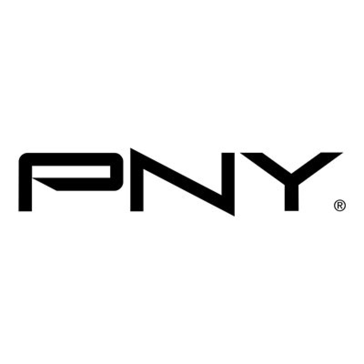 PNY CS2341 M.2 PCIe 4.0 NVMe SSD mit Kühlkörper 1TB