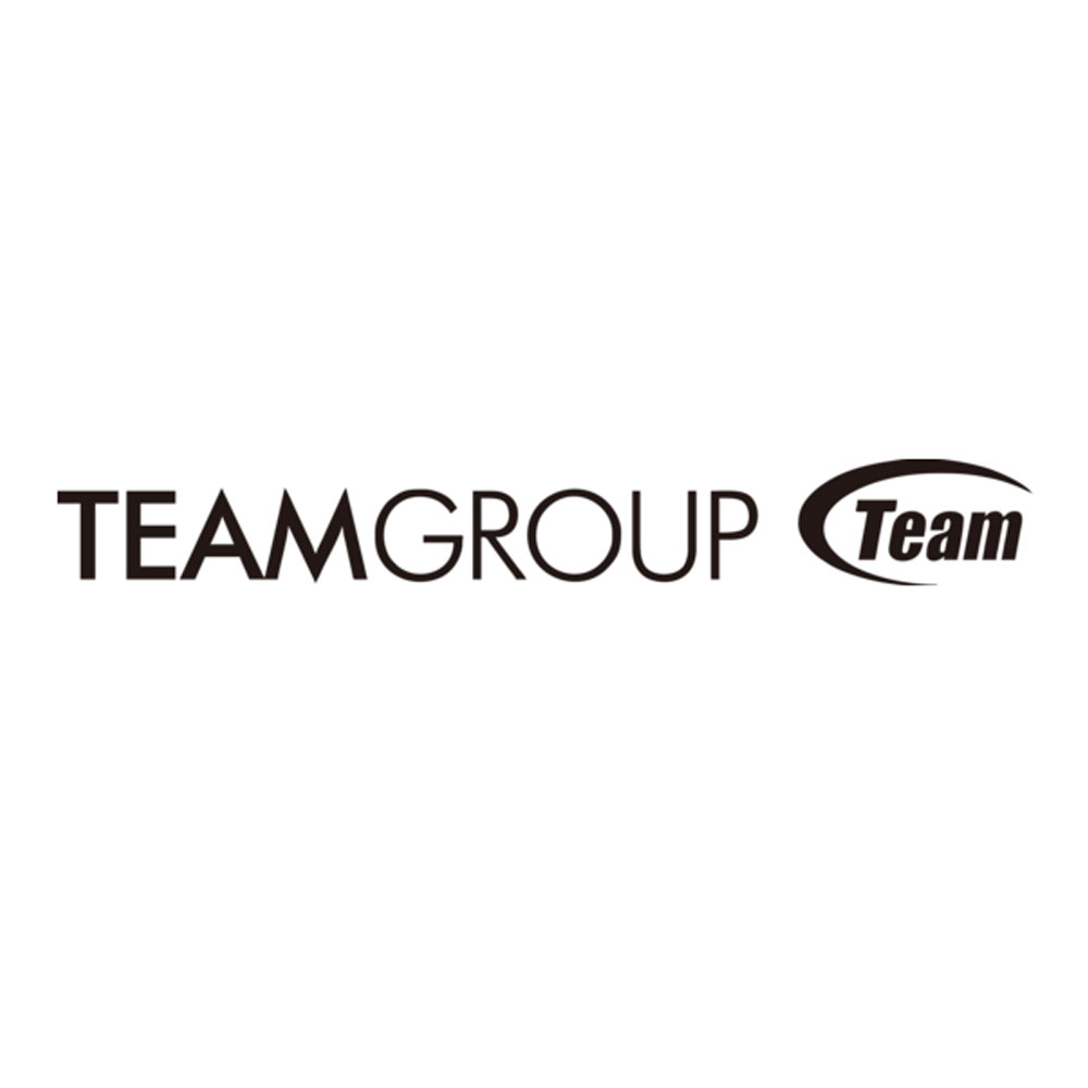 Team Group X1 MAX SSD 256GB