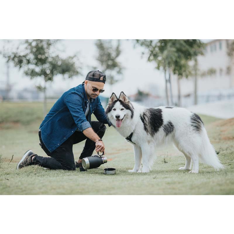 Asobu Dog Bowl Edelstahlflasche mit Hundenapf 1 Liter schwarz