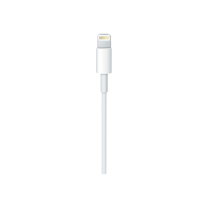 Apple Lightning to USB C Kabel 1m MX0K2ZM/A bulk