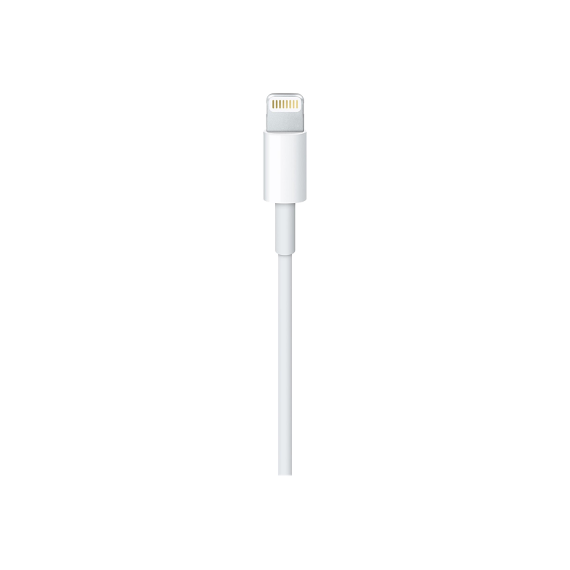 Apple Lightning to USB C Kabel 2m MKQ42ZM/A