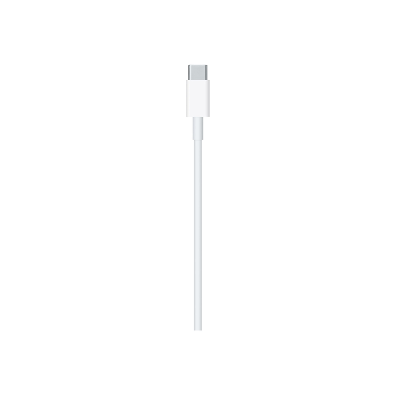 Apple Lightning to USB C Kabel 2m MKQ42ZM/A