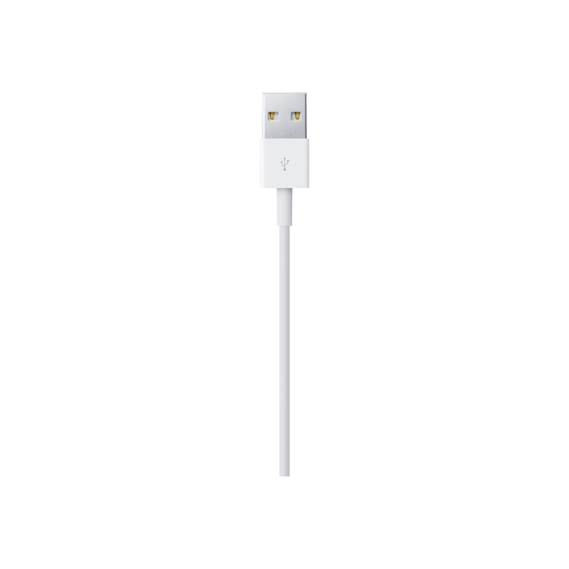 Apple Lightning to USB Cable 1m (MD818ZM/A)
