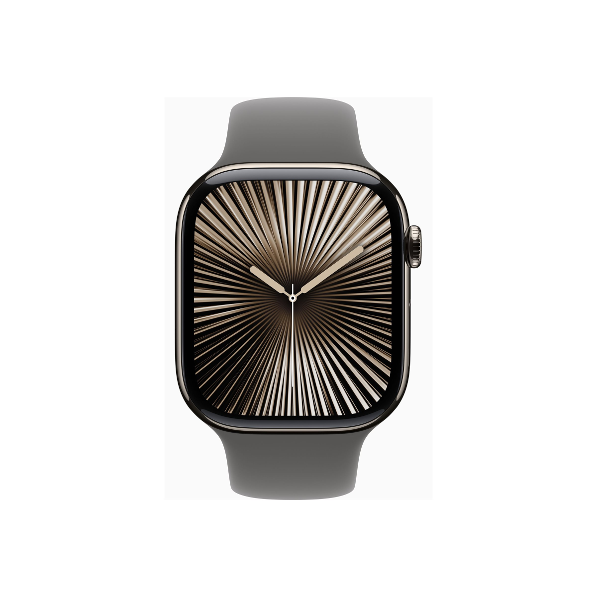 Apple Watch Series 10 4G 46mm Titan Natur Sportarmband Steingrau S/M