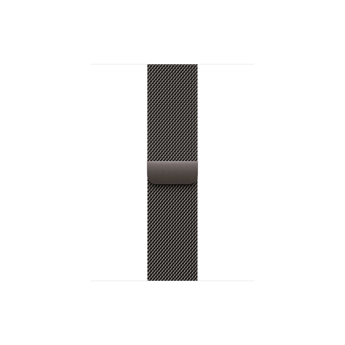 Apple Watch Series 10 4G 42mm Titan Schiefer Milanaise Schiefer