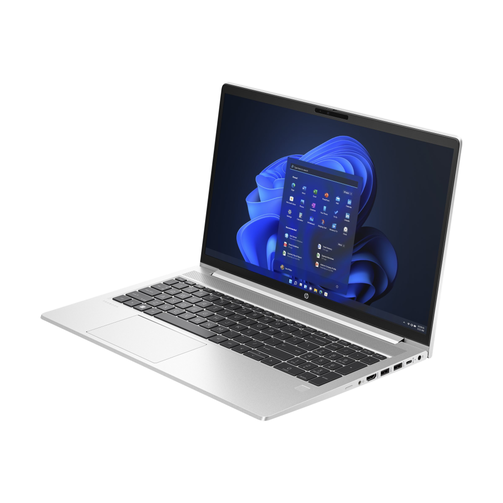 HP ProBook 455 G10 Win 11 Pro 39.6 cm (15.6