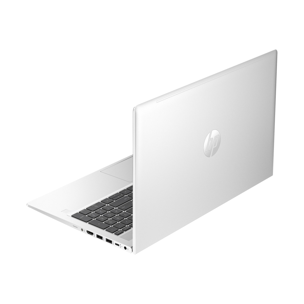 HP ProBook 455 G10 Win 11 Pro 39.6 cm (15.6