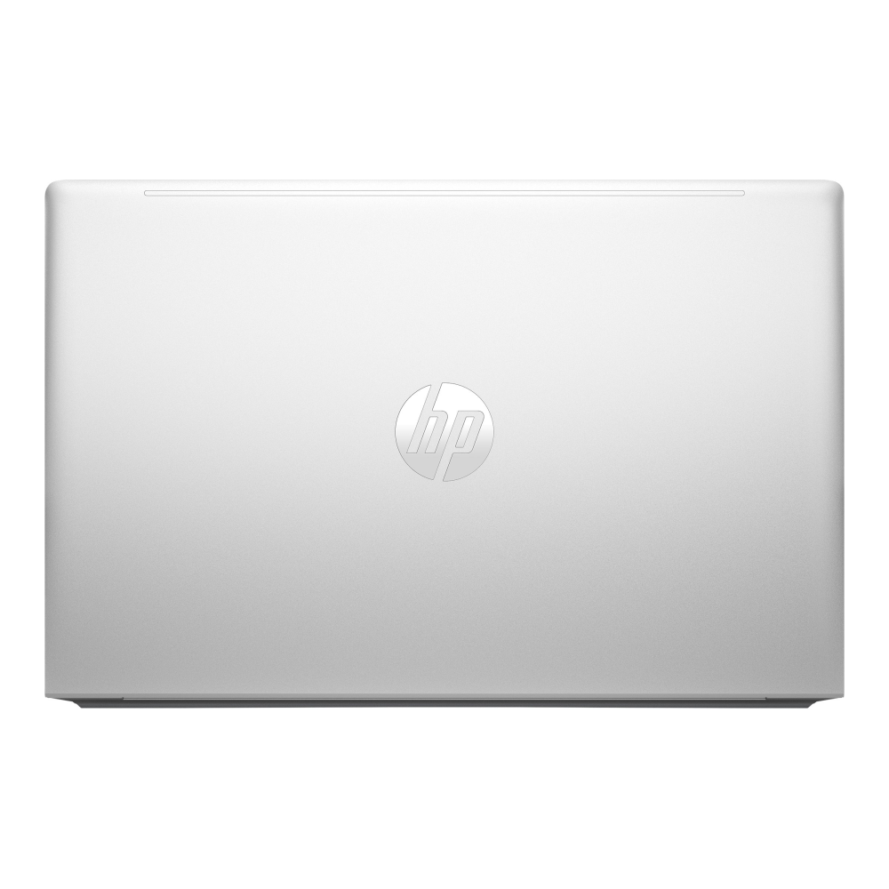 HP ProBook 455 G10 Win 11 Pro 39.6 cm (15.6