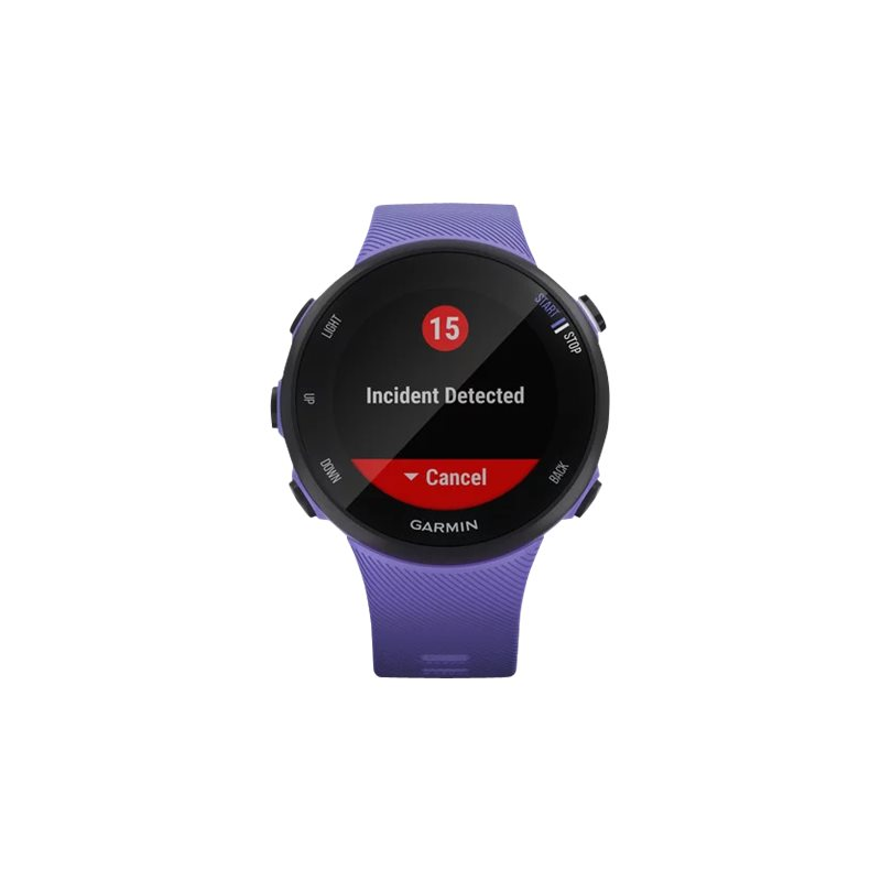 Garmin Forerunner 45S GPS-Laufuhr 39.5 mm iris