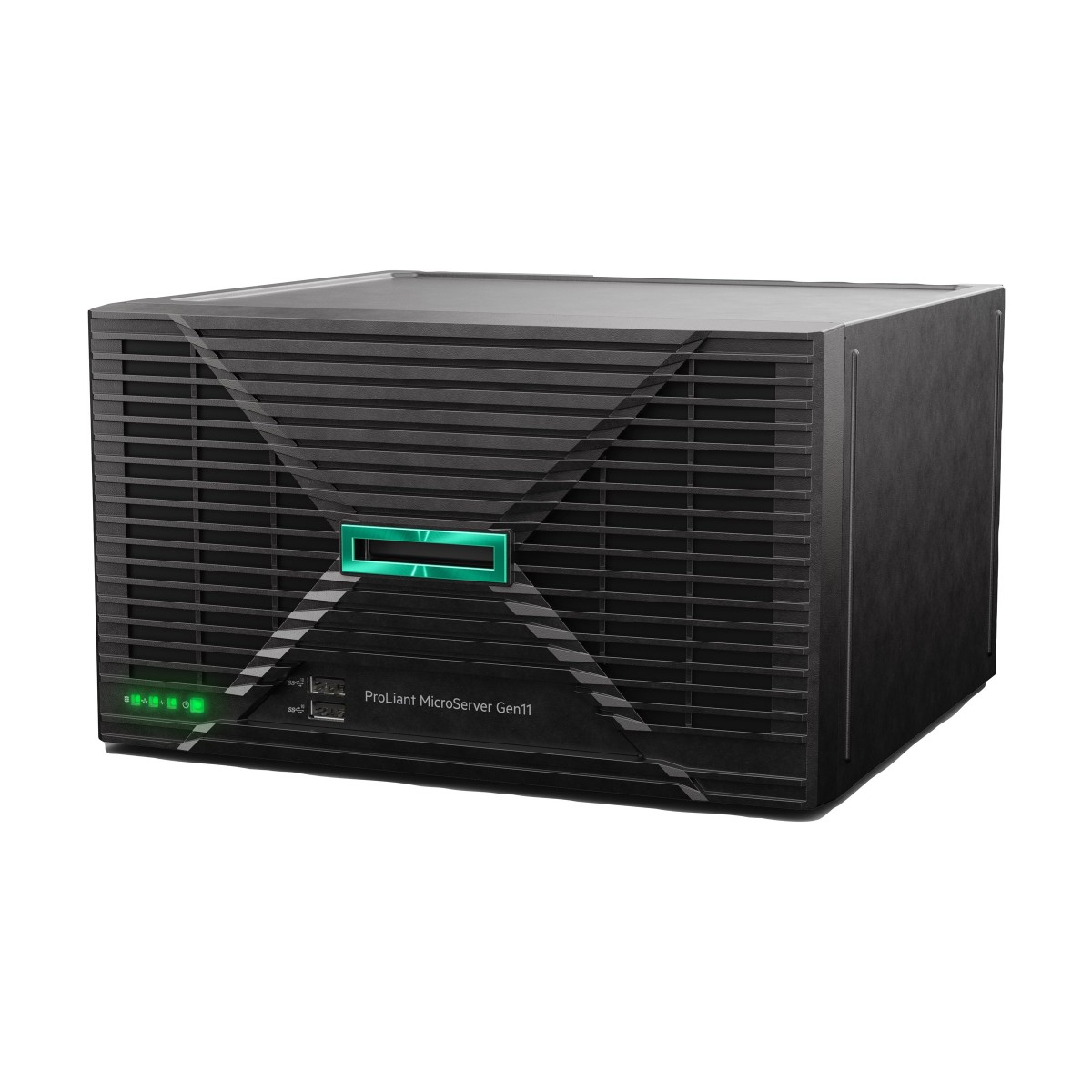 HPE ProLiant MicroServer Gen11 P74439-425 Server