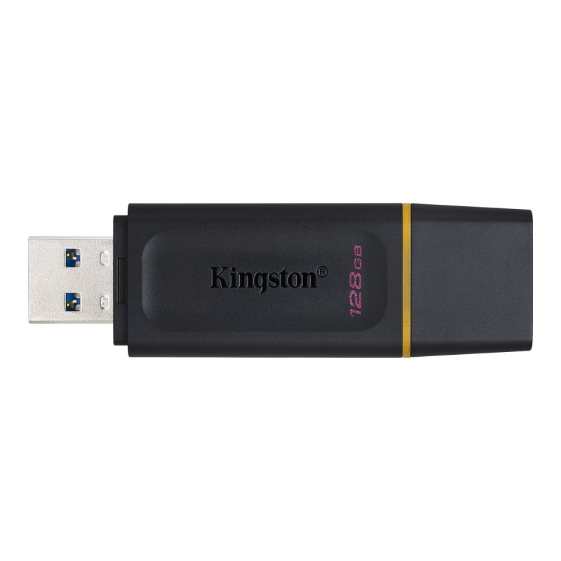 Kingston DataTraveler Exodia DTX/128GB USB-Stick 3.2 Gen 1