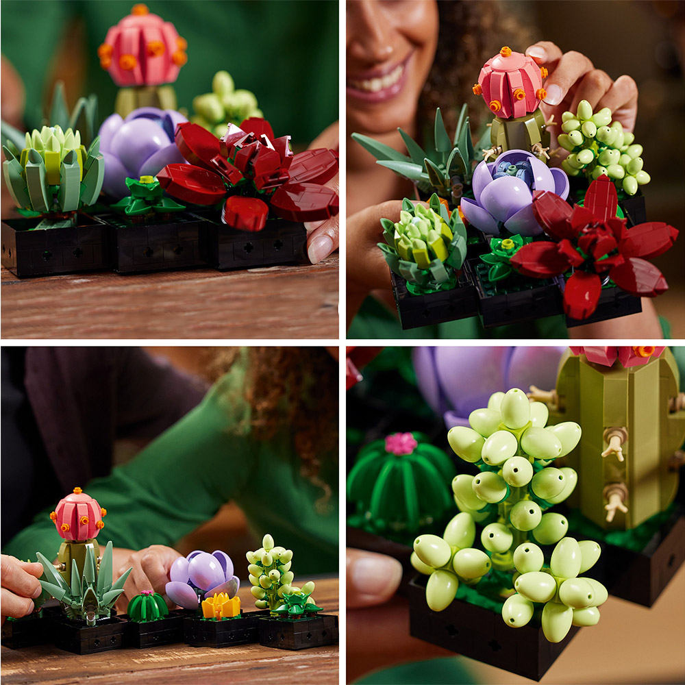 LEGO Botanical Collection - Sukkulenten (10309)