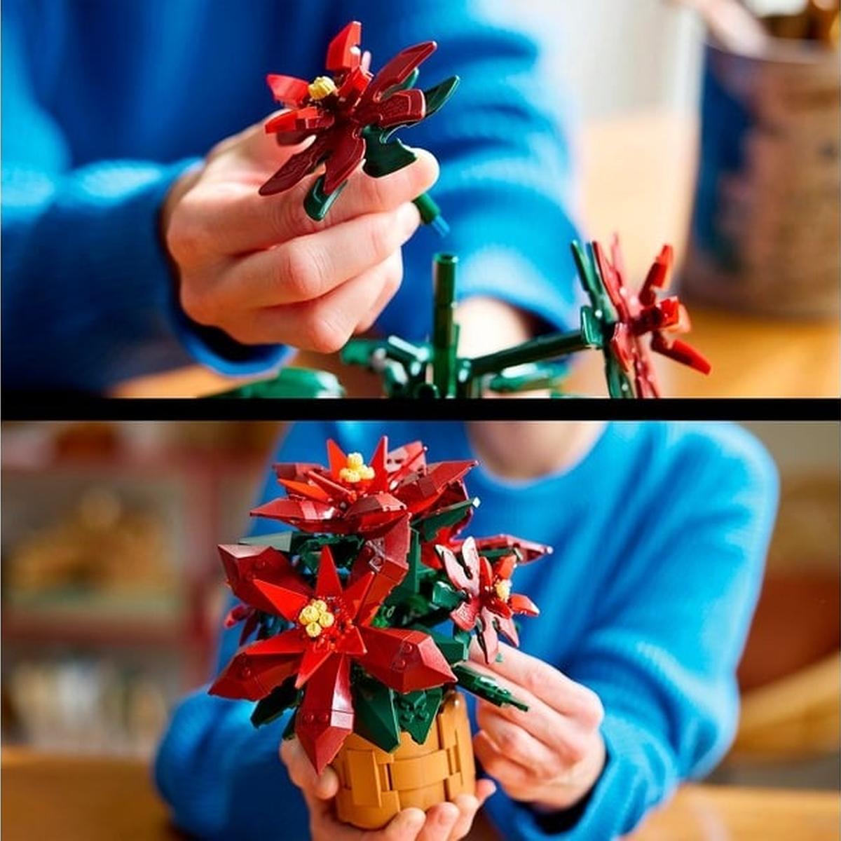 LEGO Icons - Weihnachtsstern (10370)