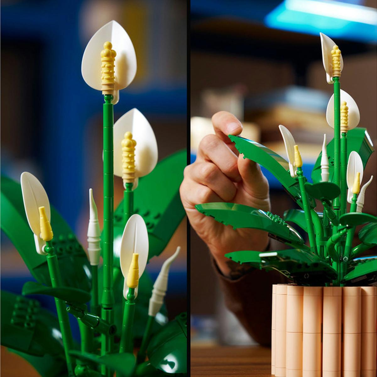 LEGO Botanicals  Friedenslilie (11504)