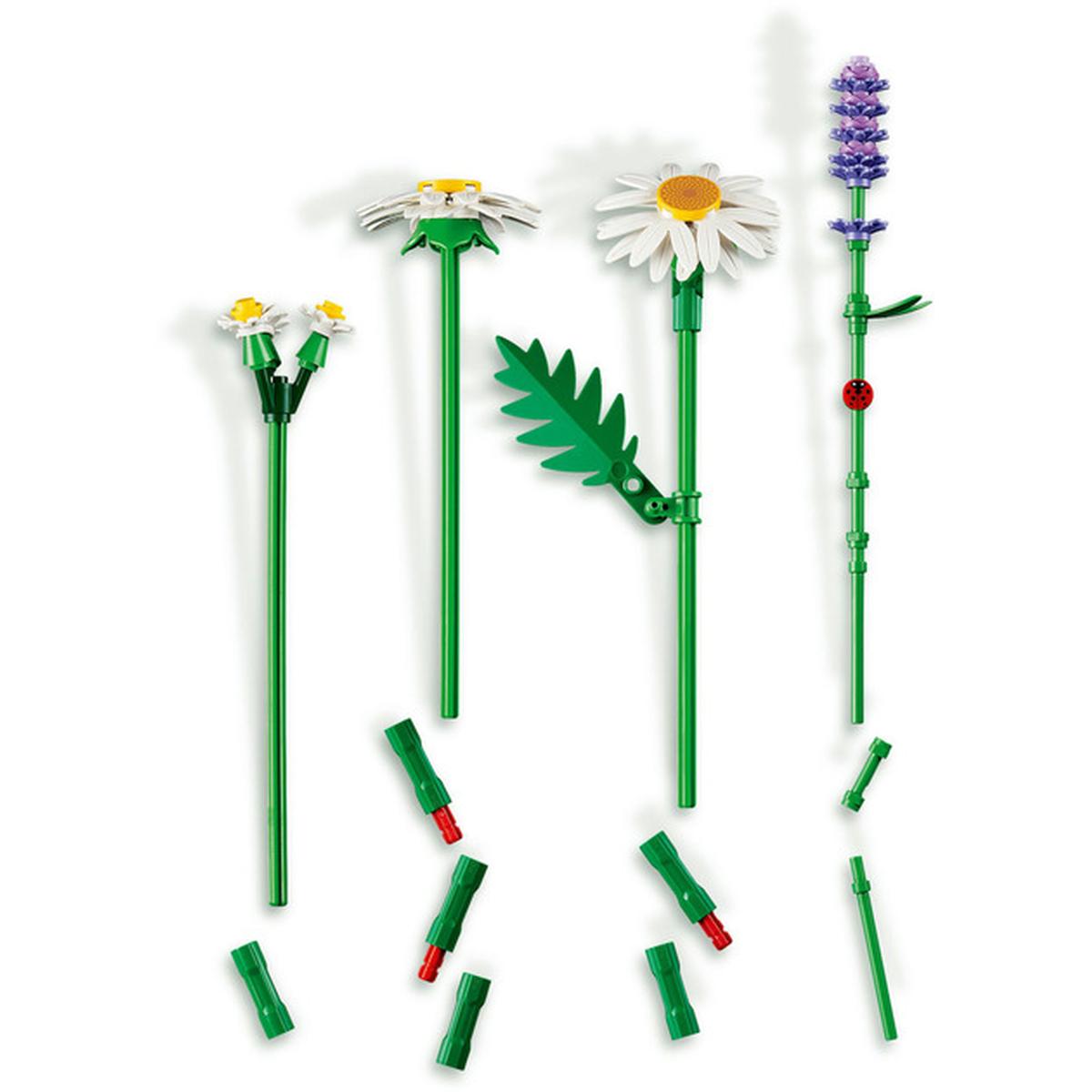 LEGO Botanicals Gänseblümchen (11508)