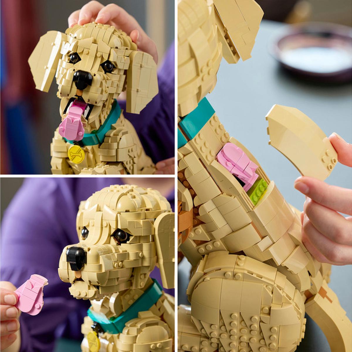 LEGO Icons - Golden Retriever Welpe (11384)