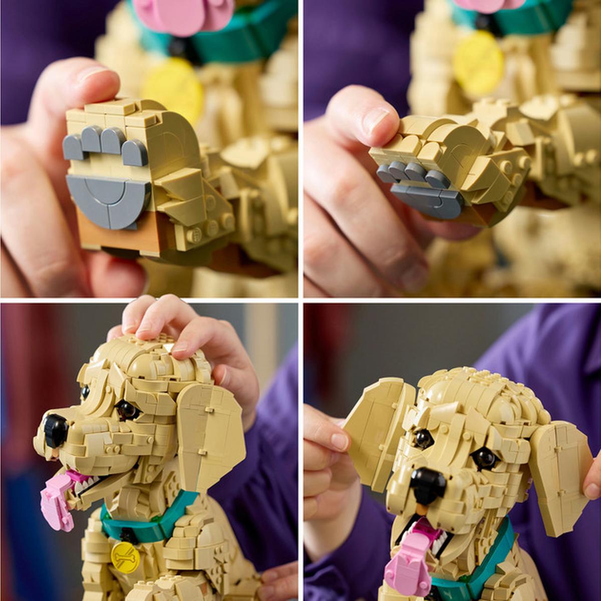 LEGO Icons - Golden Retriever Welpe (11384)
