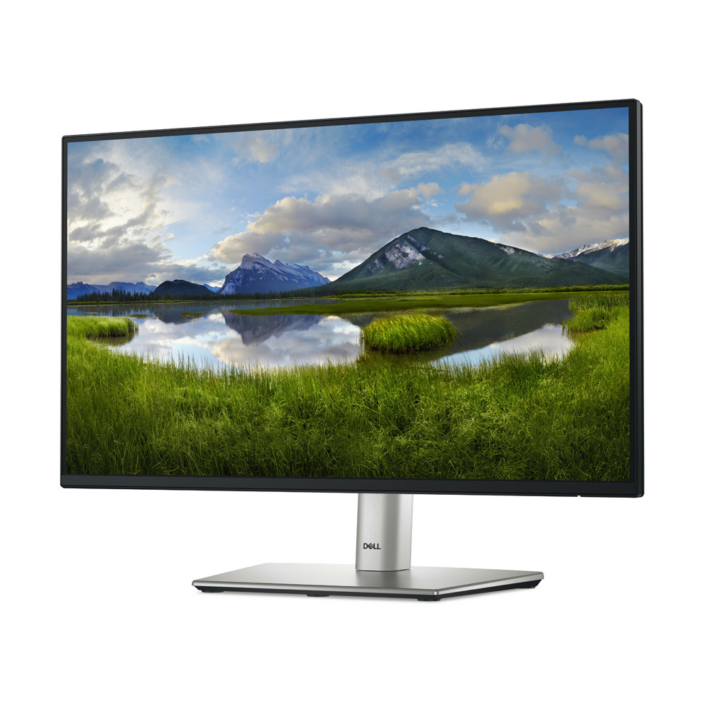 Dell P2225H (21,5 Zoll) 54,5cm LED-Monitor