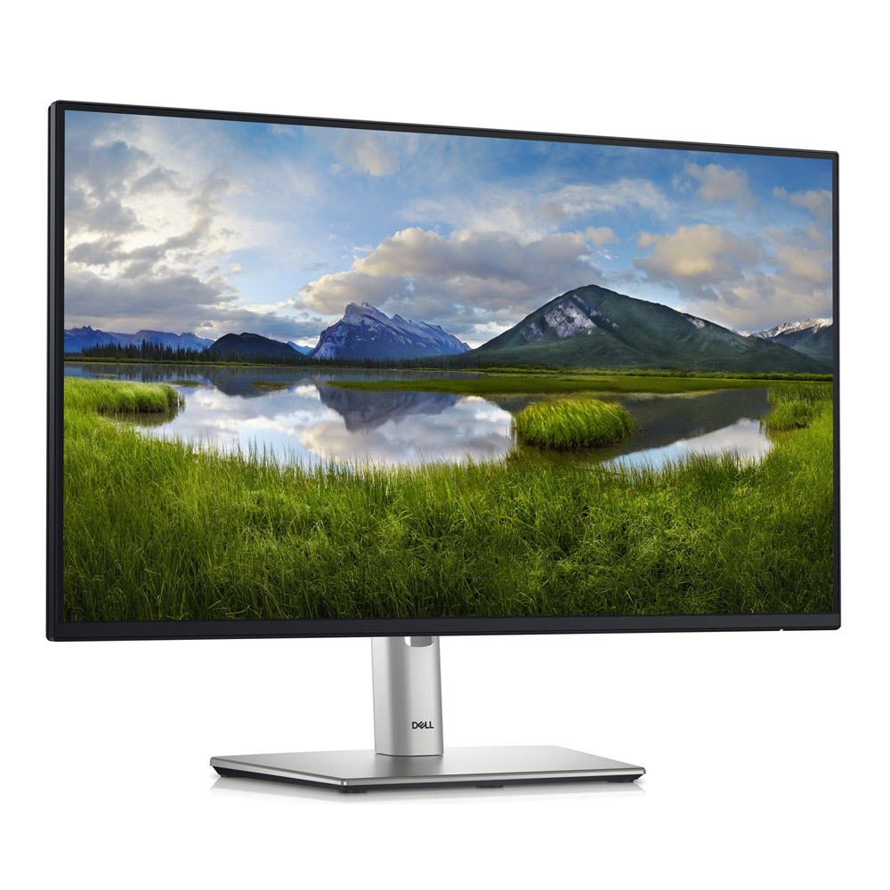 Dell P-Series P2425HE 61 cm (24 Zoll) LED-Monitor