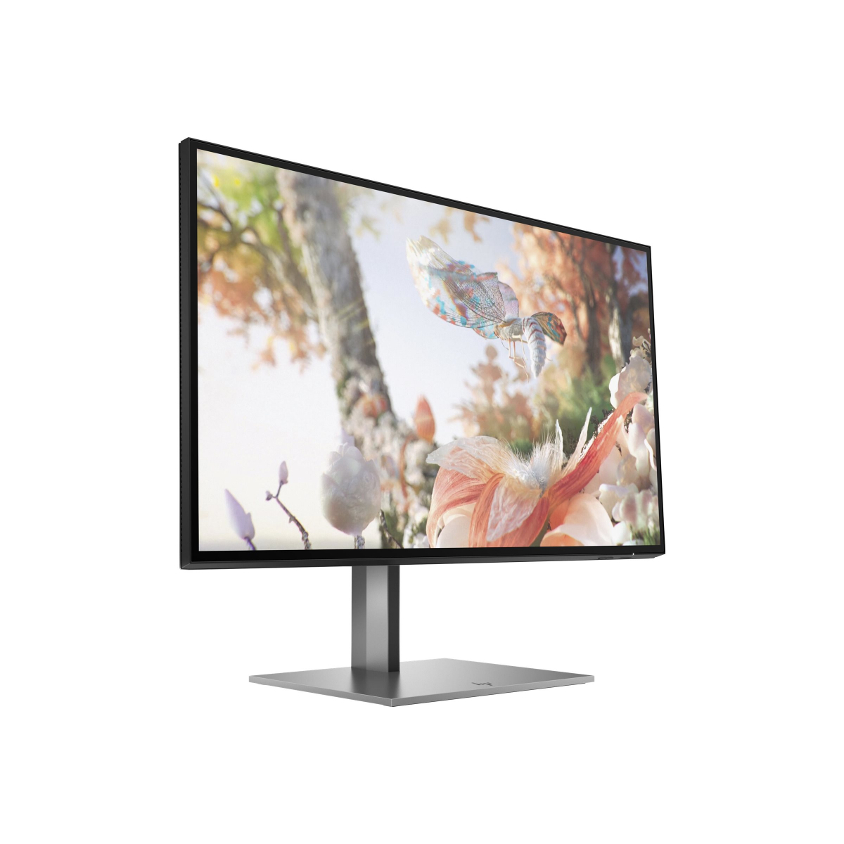 HP Z25xs G3 63,5 cm (25 Zoll) LED-Monitor